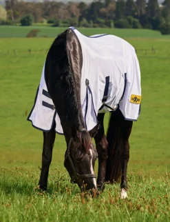 Mesh With Belly Wrap Fly Sheet