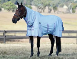 Mesh With Gusset Belly Wrap Combo Neck