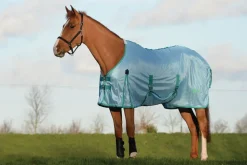 Mesh With Gusset Belly Wrap Standard Neck