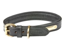 Padded Leather Dog Collar