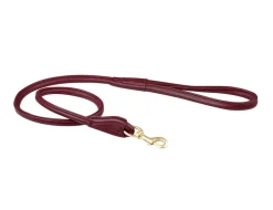 Rolled Leather Dog Lead