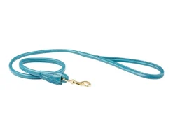 Rolled Leather Dog Lead