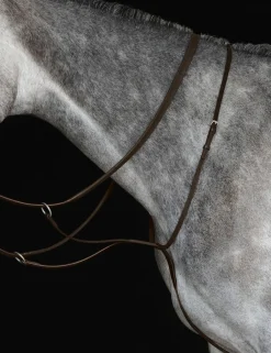 Running Martingale IV
